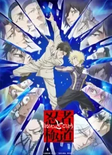 دانلود انیمه Ninja to Gokudou